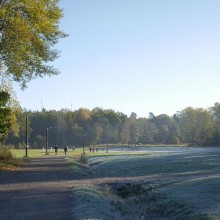 Morgon i Björkhagen